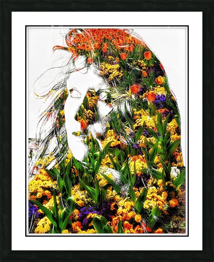 V1128 Picture Frame print