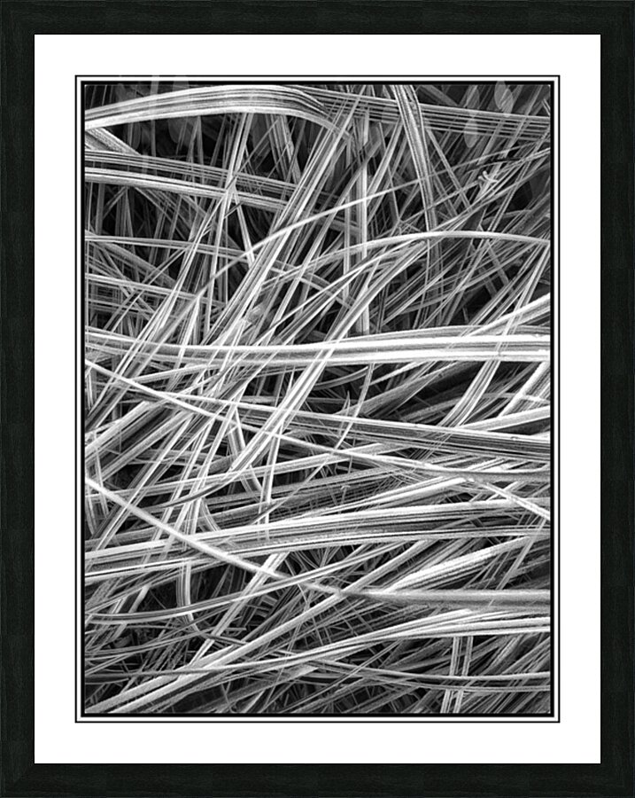 V1129 Picture Frame print