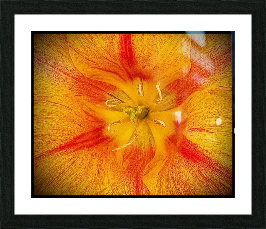 V1131 Picture Frame print