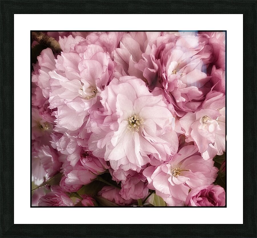 V1132 Picture Frame print