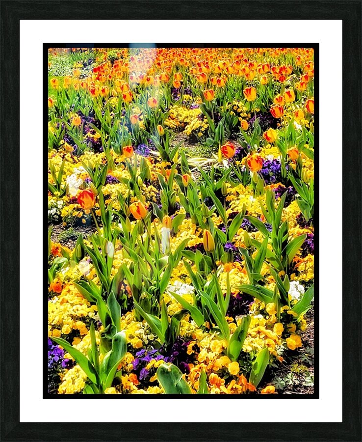 V1137 Picture Frame print