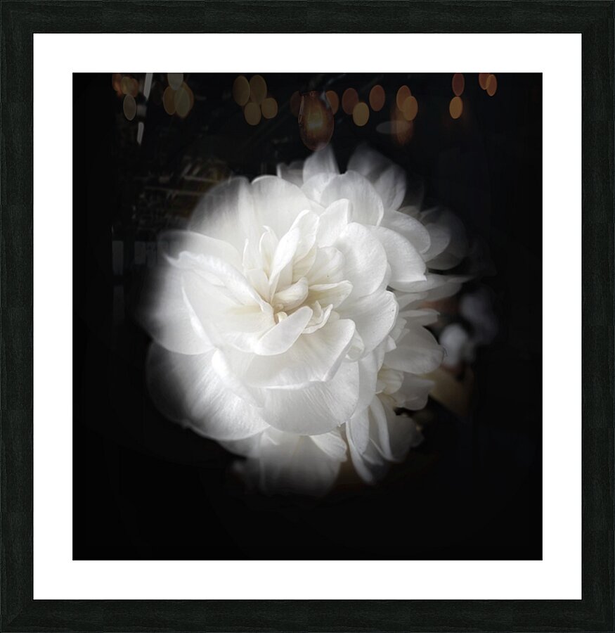 V1139 Picture Frame print