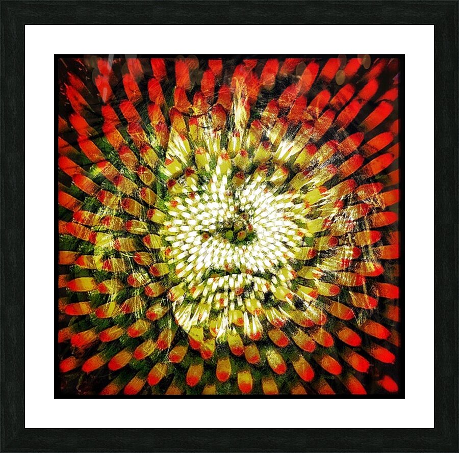 V1142 Picture Frame print
