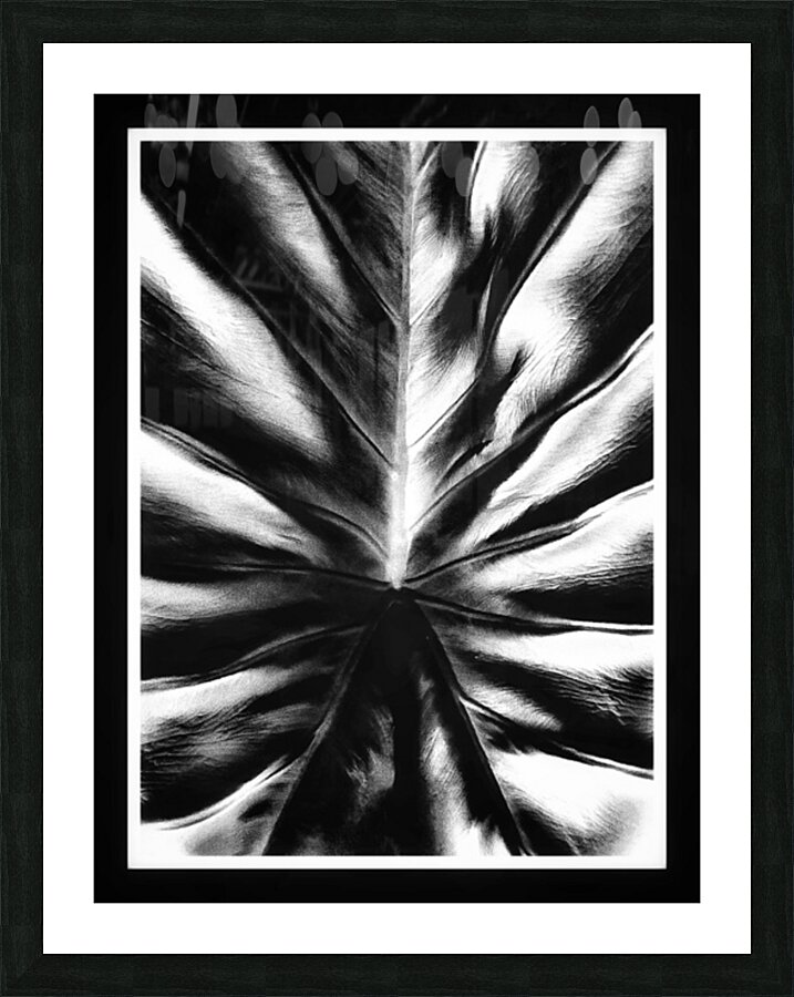 V1143 Picture Frame print