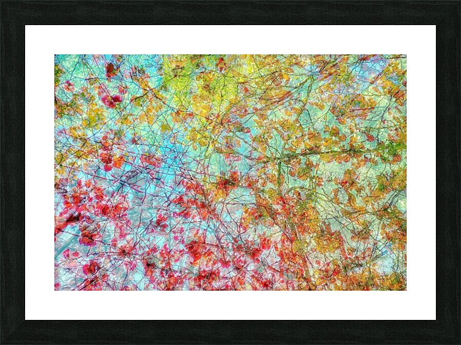 V1144 Picture Frame print
