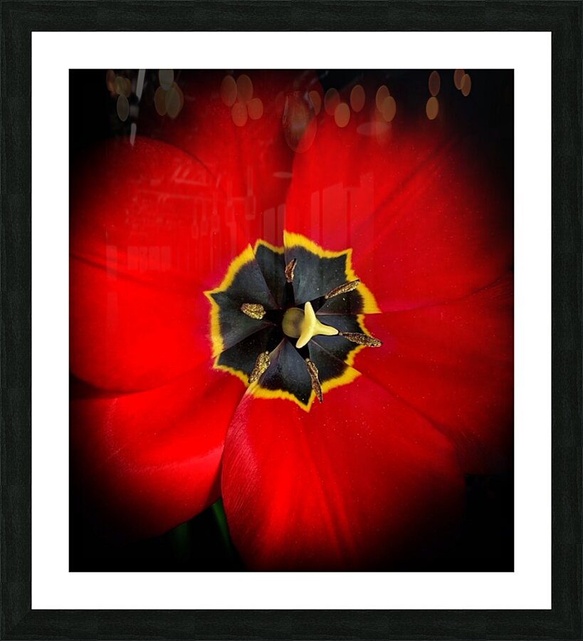 V1163 Picture Frame print
