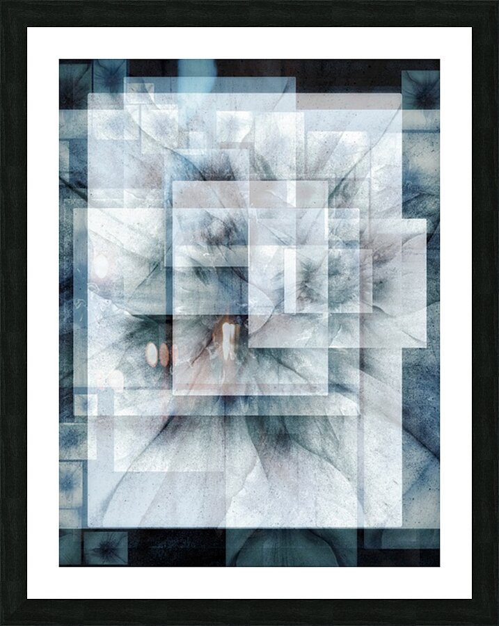 V1164 Picture Frame print