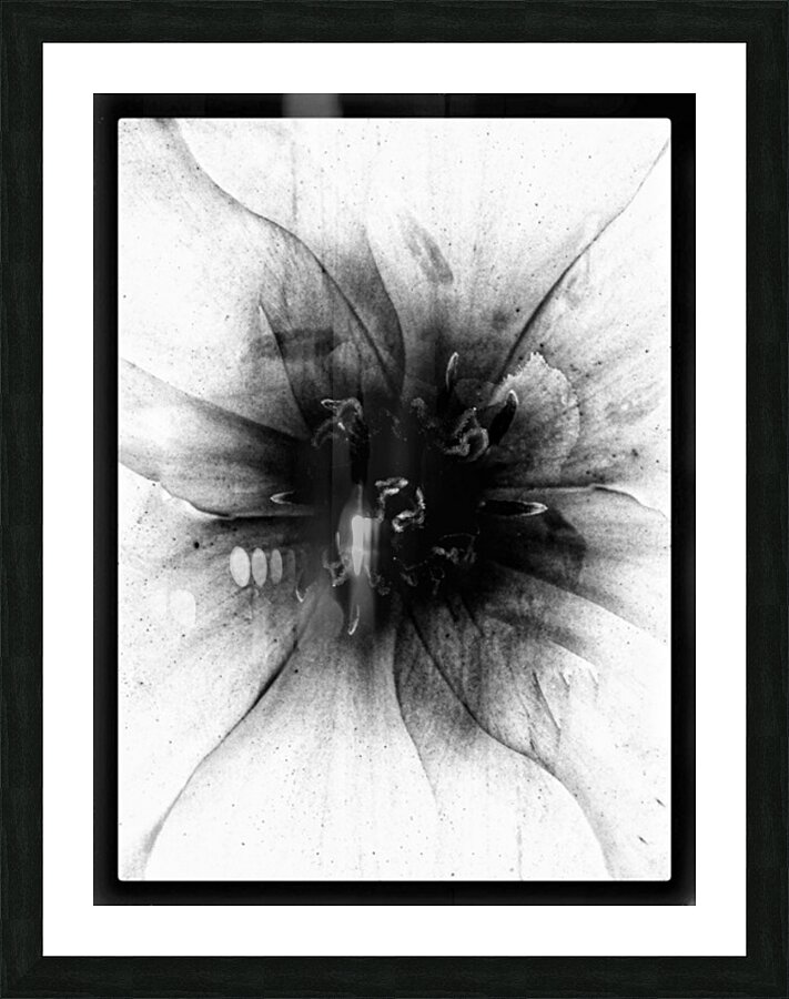 V1165 Picture Frame print