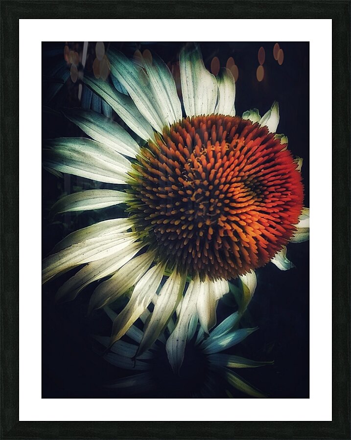 V1168 Picture Frame print