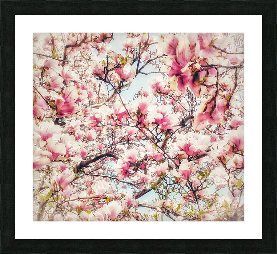 V1171 Picture Frame print
