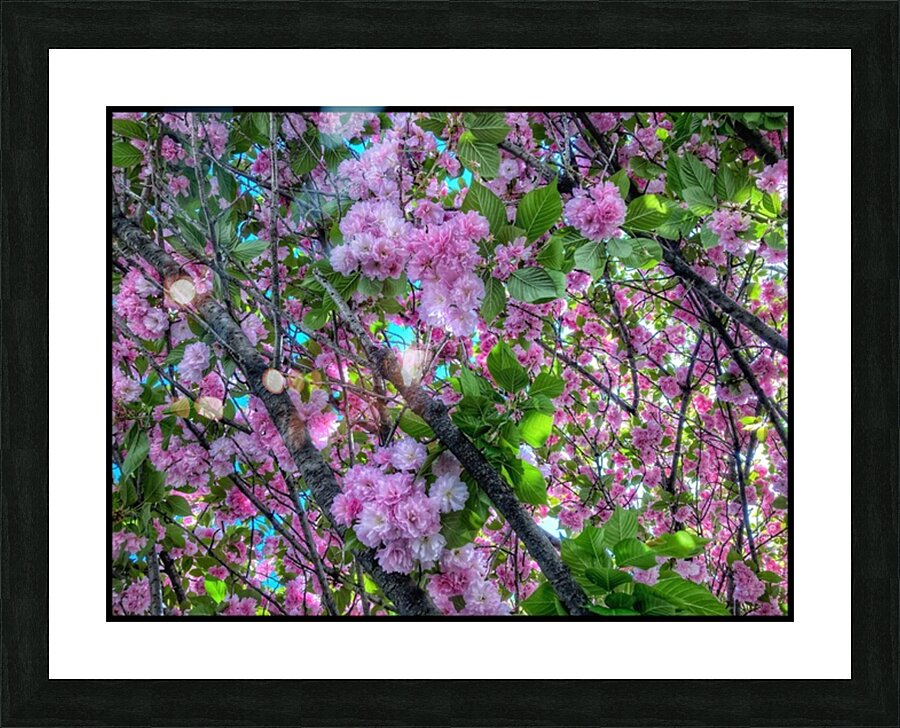 V1182 Picture Frame print