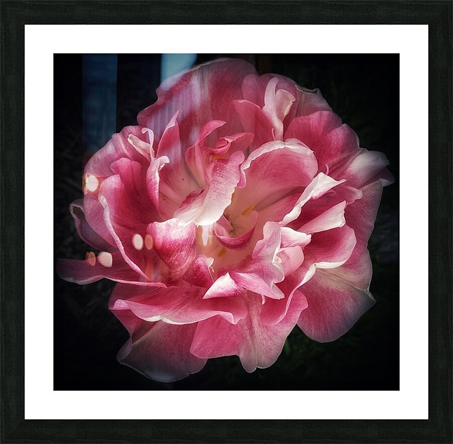 V1184 Picture Frame print