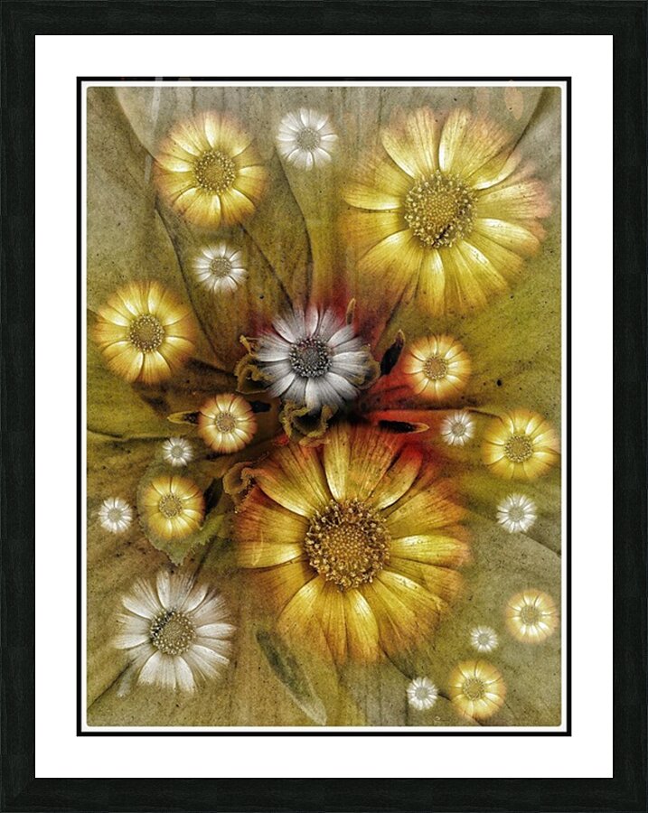 V1185 Picture Frame print