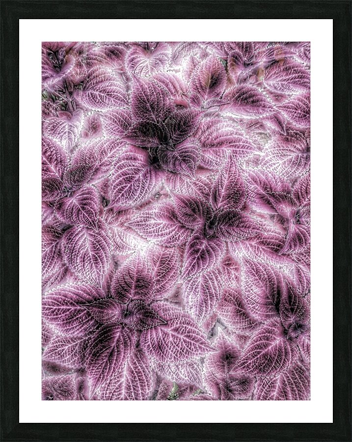 V1187 Picture Frame print