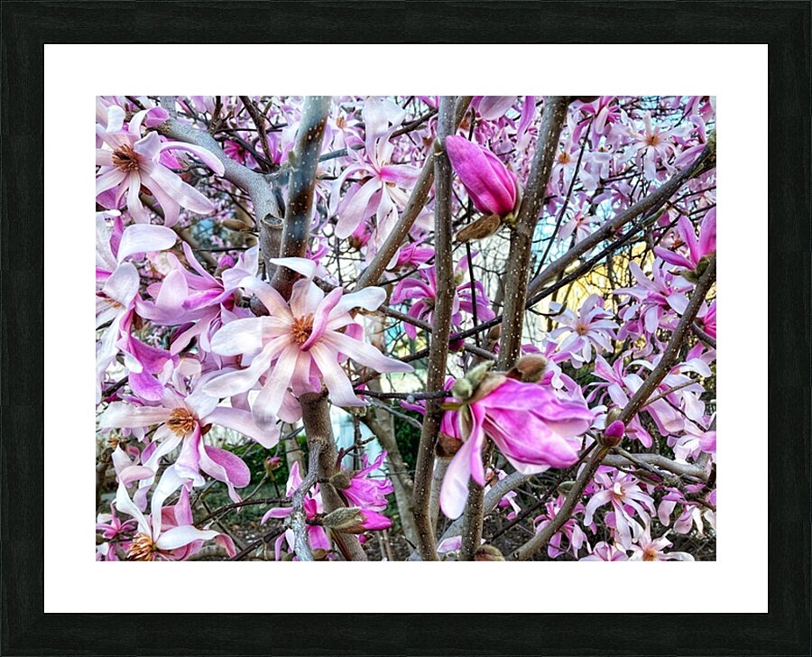 V1196 Picture Frame print