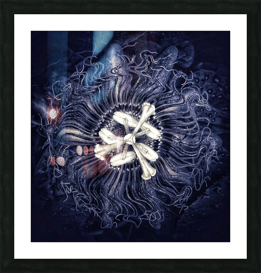 V1202 Picture Frame print