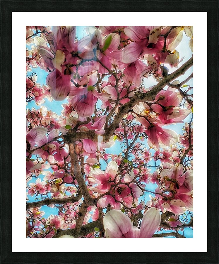 V1204 Picture Frame print
