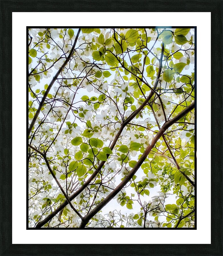 V1205 Picture Frame print