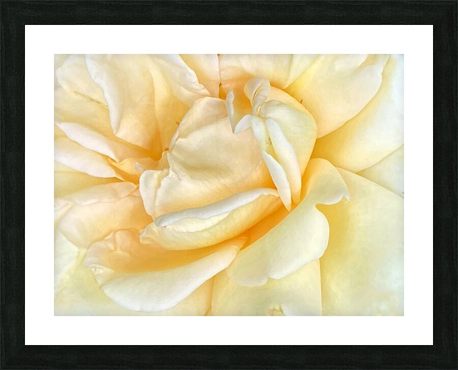 V1207 Picture Frame print
