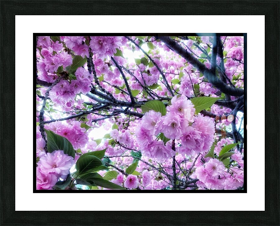 V1208 Picture Frame print