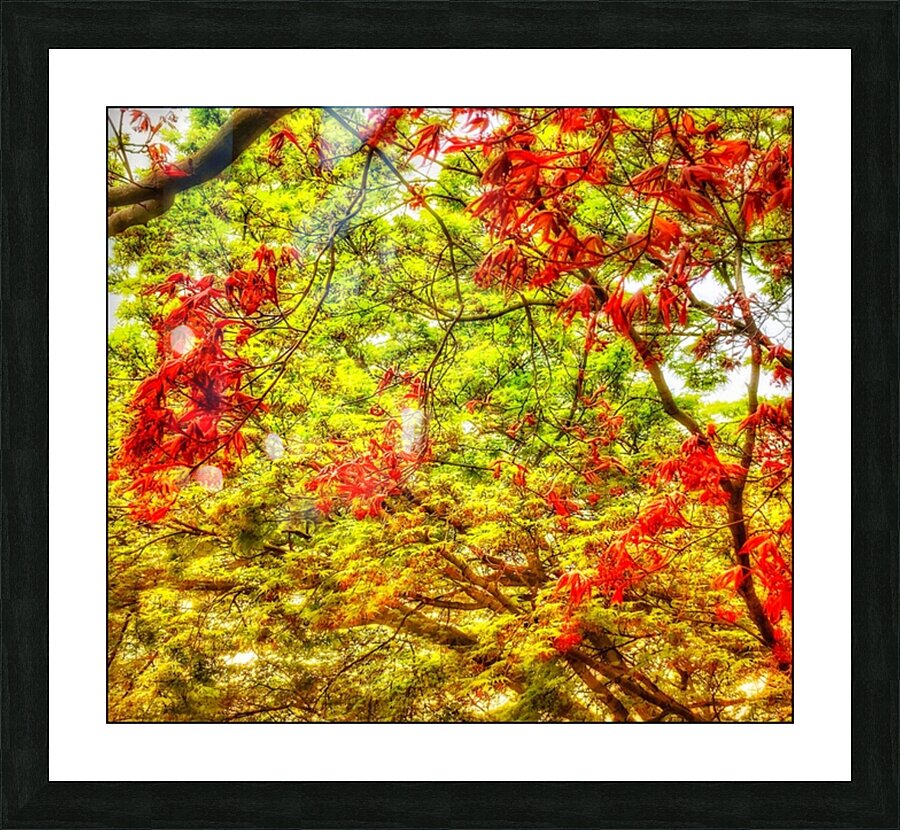 V1209 Picture Frame print