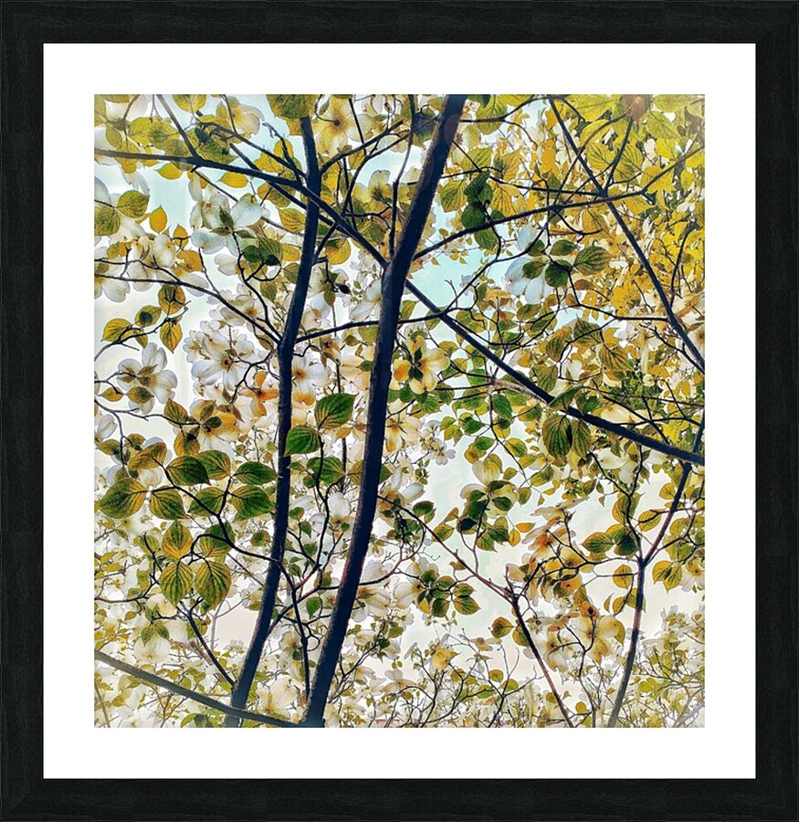 V1211 Picture Frame print