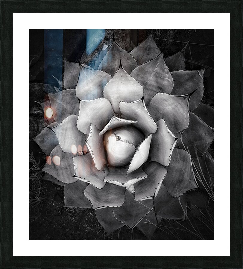 V1213 Picture Frame print
