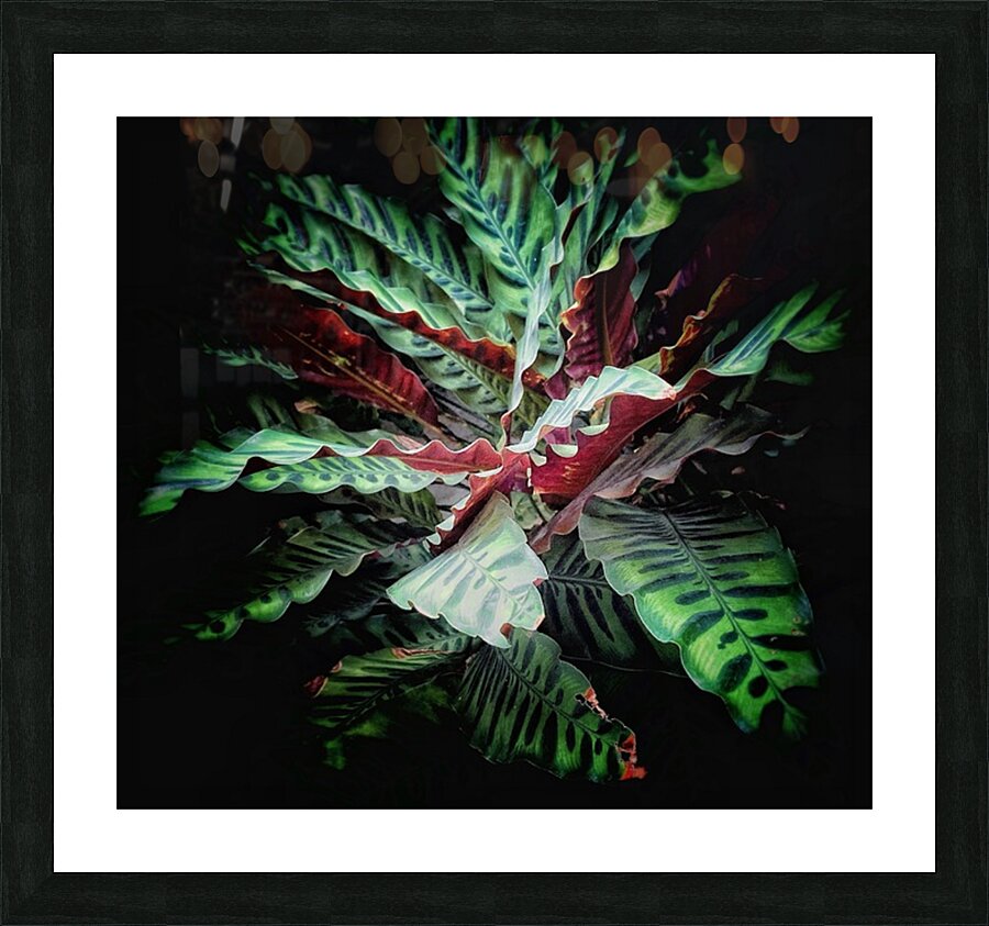 V1218 Picture Frame print