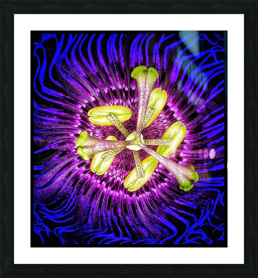 V1219 Picture Frame print