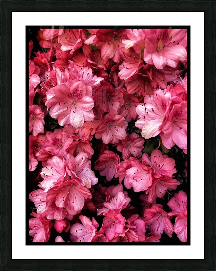 V1220 Picture Frame print