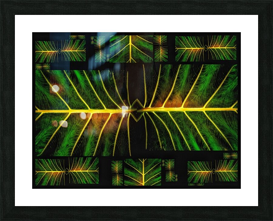 V1239 Picture Frame print