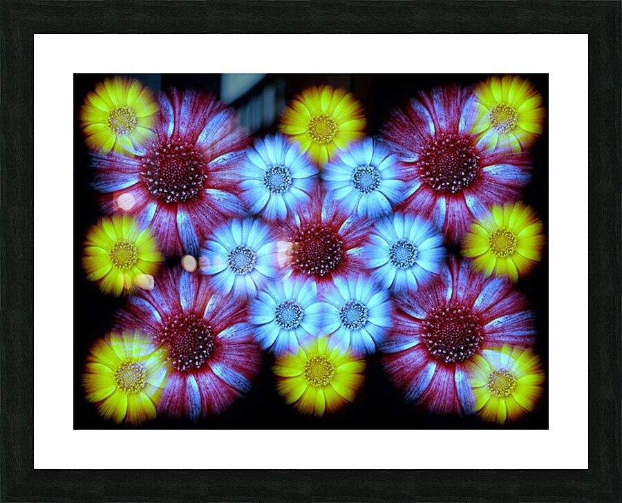 V1244 Picture Frame print
