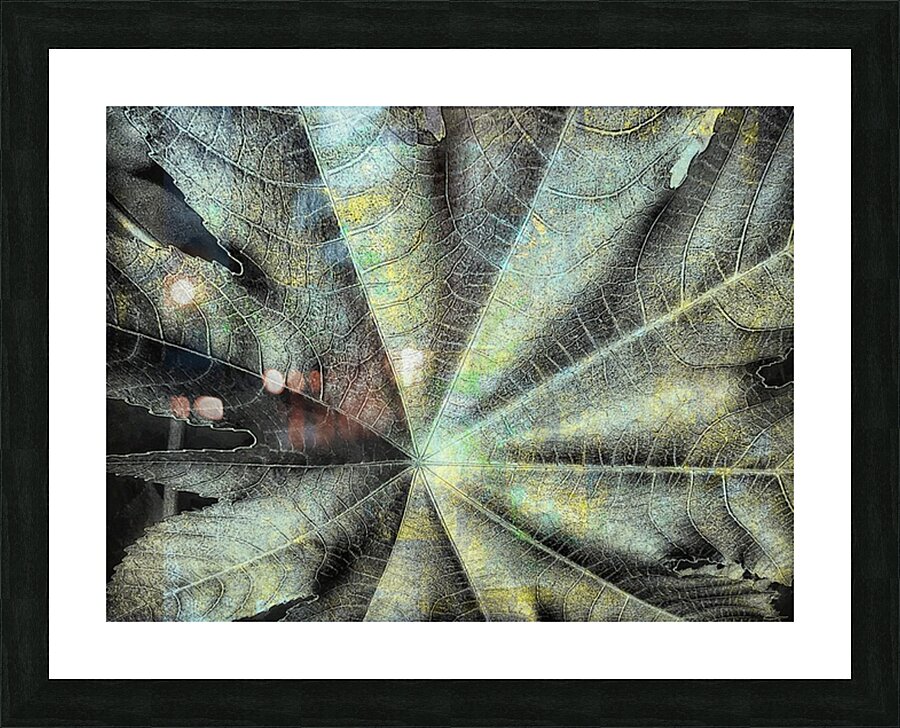 V1245 Picture Frame print