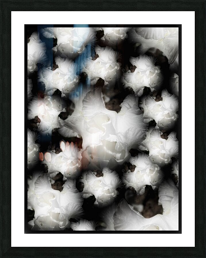V1246 Picture Frame print
