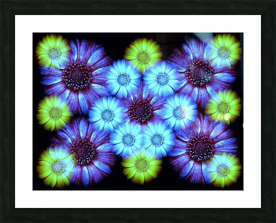V1247 Picture Frame print