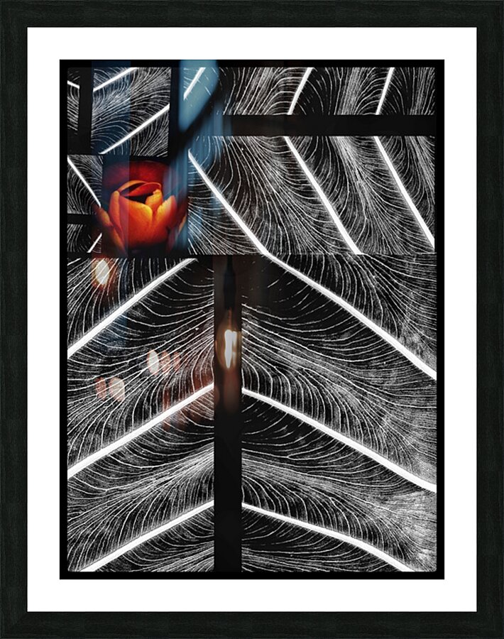 V1269 Picture Frame print