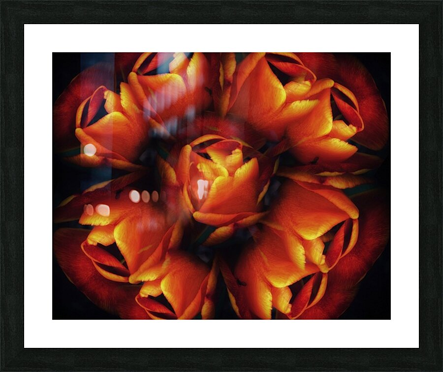 V1270 Picture Frame print