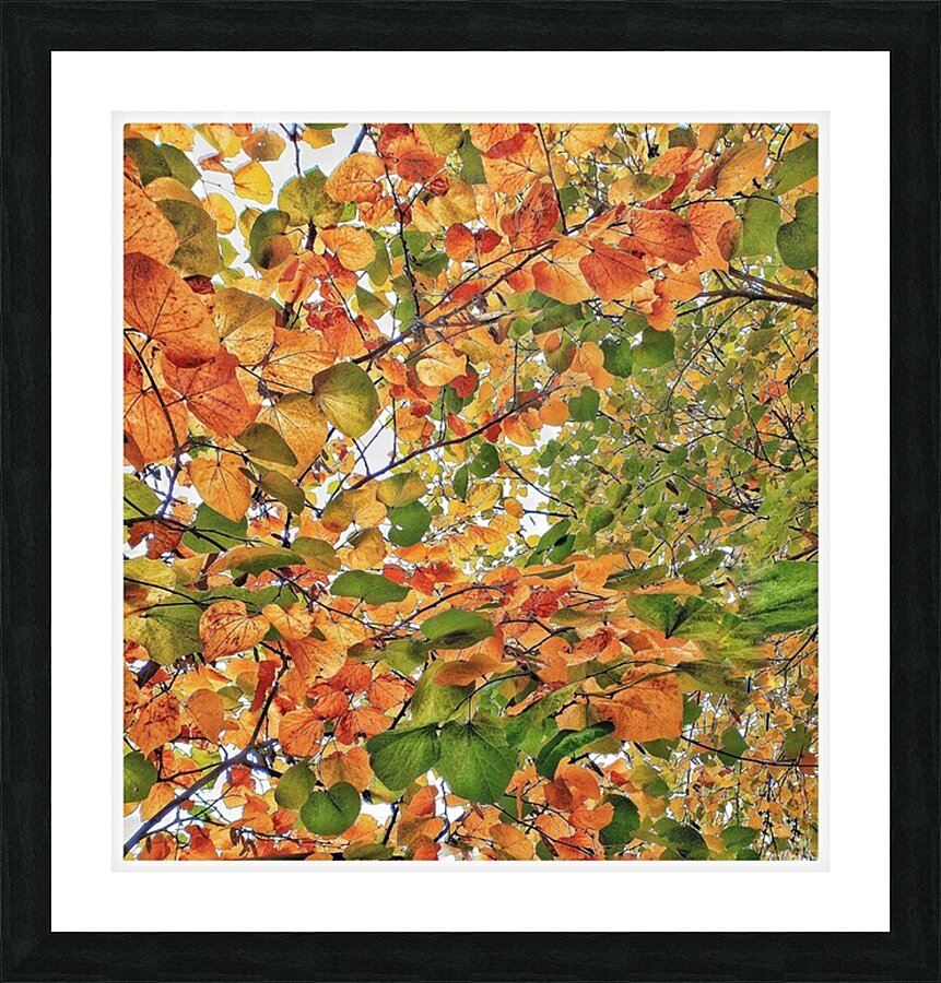 V1273 Picture Frame print