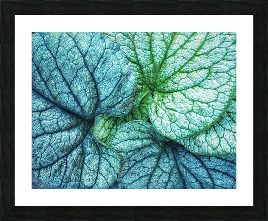 V1275 Picture Frame print