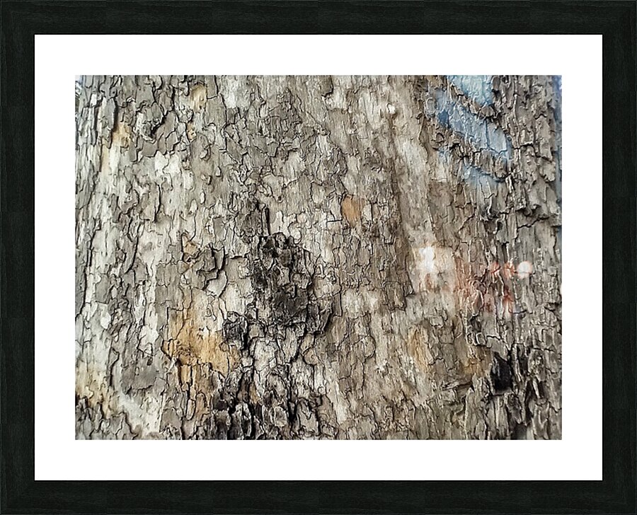 V1278 Picture Frame print