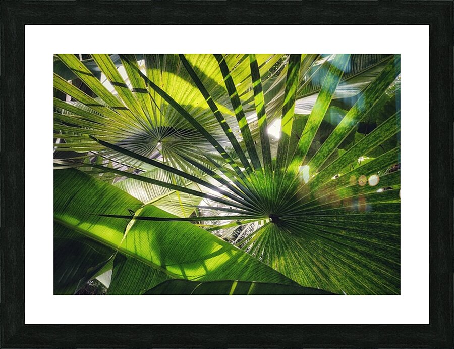 V1279 Picture Frame print