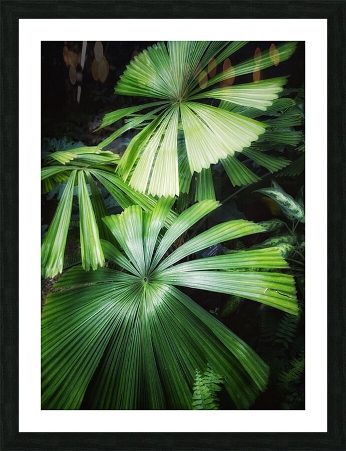 V1280 Picture Frame print