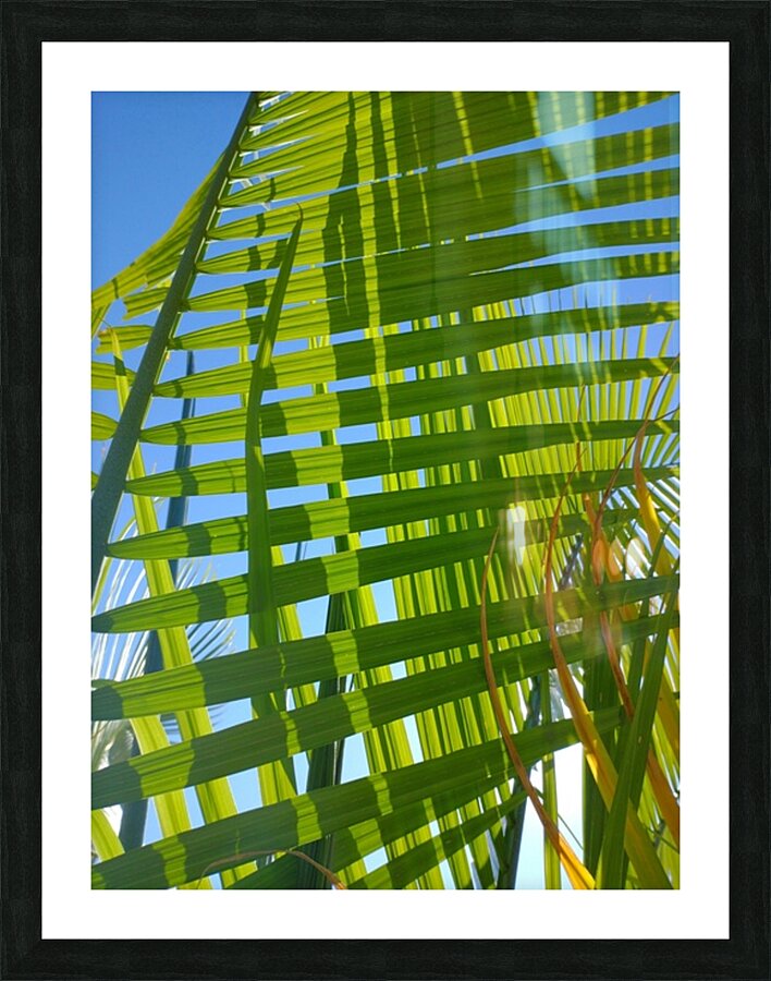 V1281 Picture Frame print