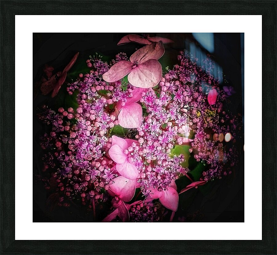 V1282 Picture Frame print