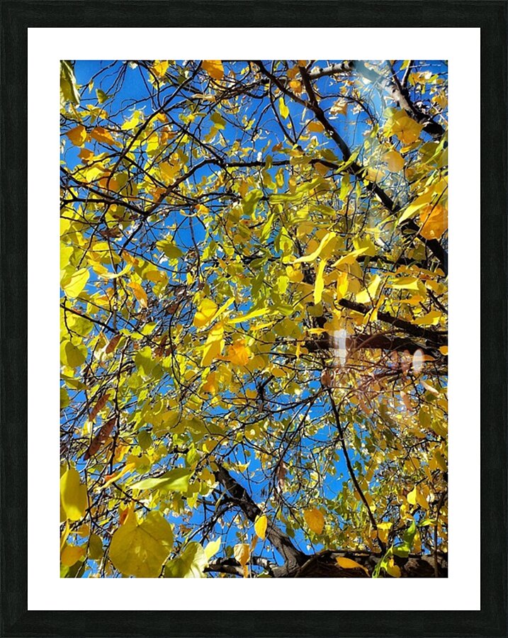 V1283 Picture Frame print