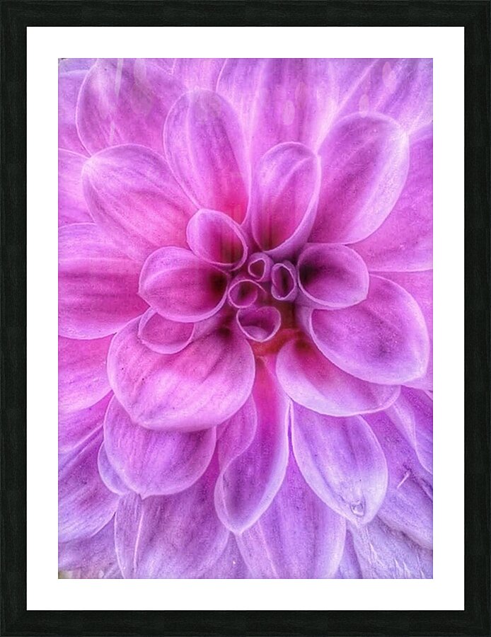 V1284 Picture Frame print