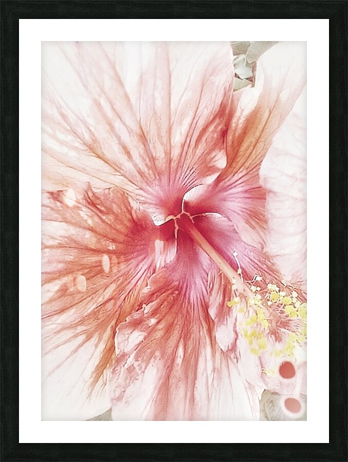 V1285 Picture Frame print