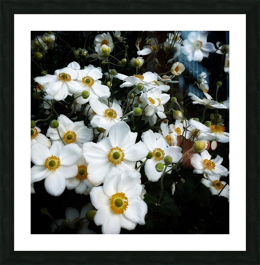 V1286 Picture Frame print