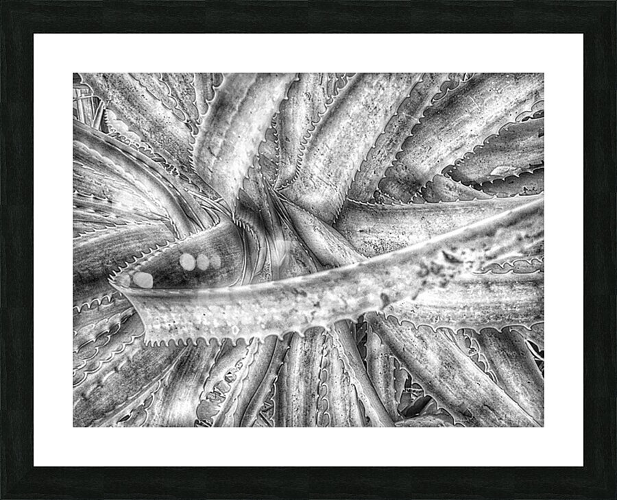 V1287 Picture Frame print
