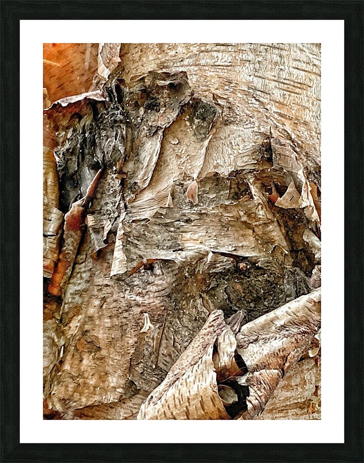 V1288 Picture Frame print